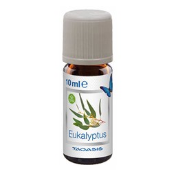 Show details for Venta Bio-Duftöl Eukalyptus 10 ml Picture of Venta Bio-Duftöl Eukalyptus 10 ml