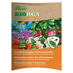 Show details for Hauert Biorga Contra Nematoden gegen Dickmaulrüssler Picture of Hauert Biorga Contra Nematoden gegen Dickmaulrüssler