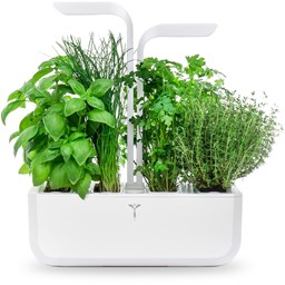 Show products in category Smart Garden Picture for category Smart Garden