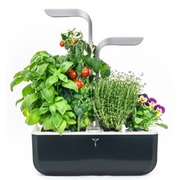 Show details for Véritable Indoor-Garten SMART - soft black Picture of Véritable Indoor-Garten SMART - soft black