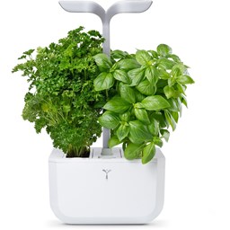 Show details for Véritable Indoor-Garten Exky SMART - arctic white Picture of Véritable Indoor-Garten Exky SMART - arctic white
