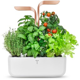 Show details for Véritable Indoor-Garten SMART - white copper Picture of Véritable Indoor-Garten SMART - white copper