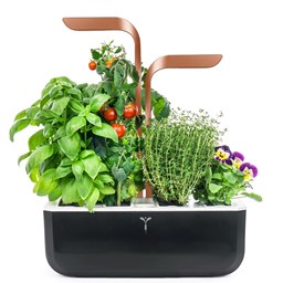 Show details for Véritable Indoor-Garten SMART - copper Picture of Véritable Indoor-Garten SMART - copper