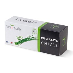 Zeige Details für Véritable Lingot Schnittlauch Bio Bild von Véritable Lingot Schnittlauch Bio