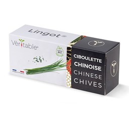 Zeige Details für Véritable Lingot Chinesischer Schnittlauch Bio Bild von Véritable Lingot Chinesischer Schnittlauch Bio