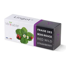 Zeige Details für Véritable Lingot Rote Waldbeere Bild von Véritable Lingot Rote Waldbeere