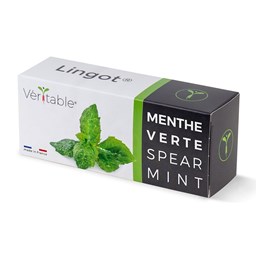Zeige Details für Véritable Lingot Pfefferminz Bild von Véritable Lingot Pfefferminz