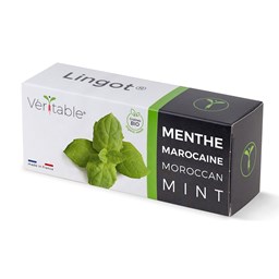 Zeige Details für Véritable Lingot Marokkanische Minze Bio Bild von Véritable Lingot Marokkanische Minze Bio
