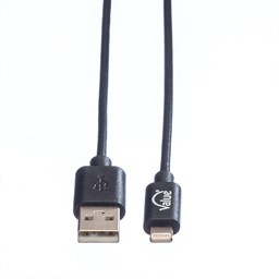 Bild von Blank Lightning zu USB Ladekabel