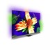 Bild von Philips 55OLED907, 55" UHD OLED-TV