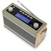 Picture of Roberts Rambler BT Stereo/ DAB+ - pastel green