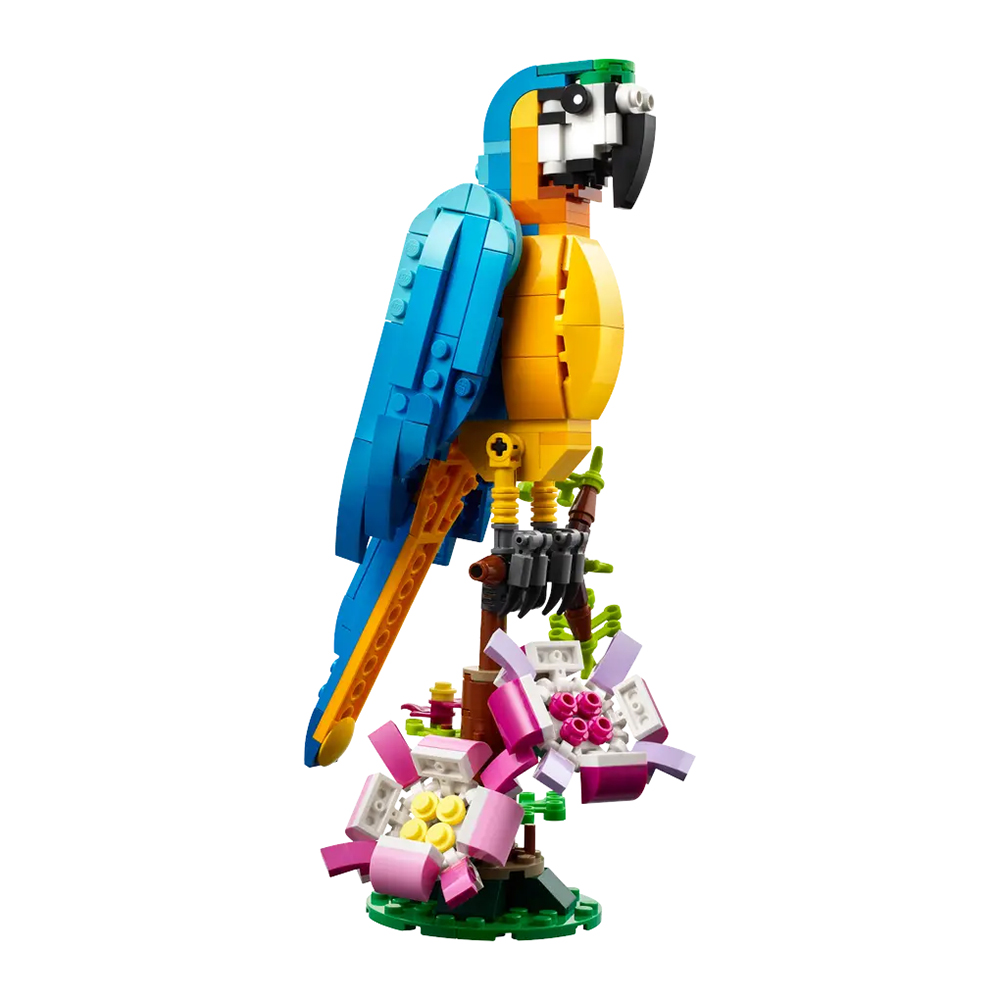 Bild von Lego Creator 31136 Exotischer Papagei