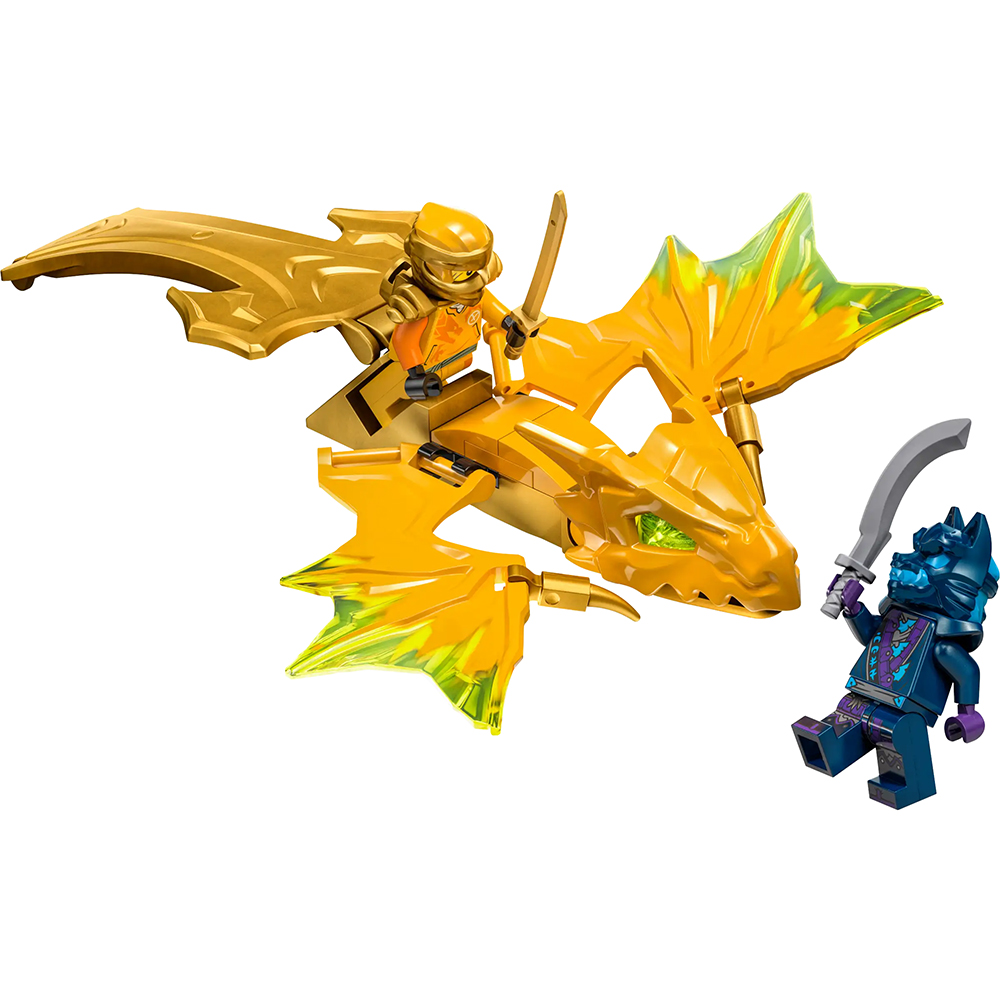 Bild von Lego Ninjago 71803 Arins Drachengleiter