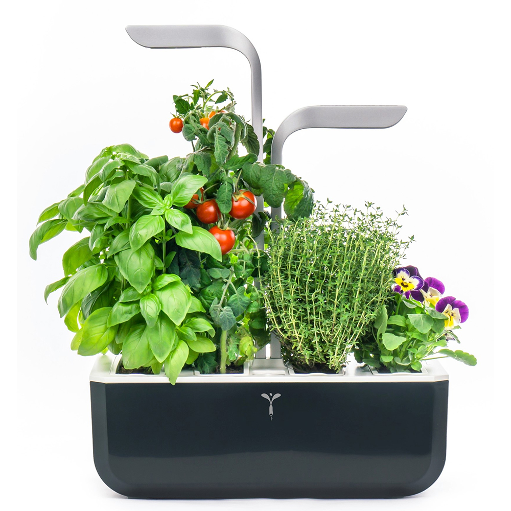 Bild von Véritable Indoor-Garten SMART - soft black