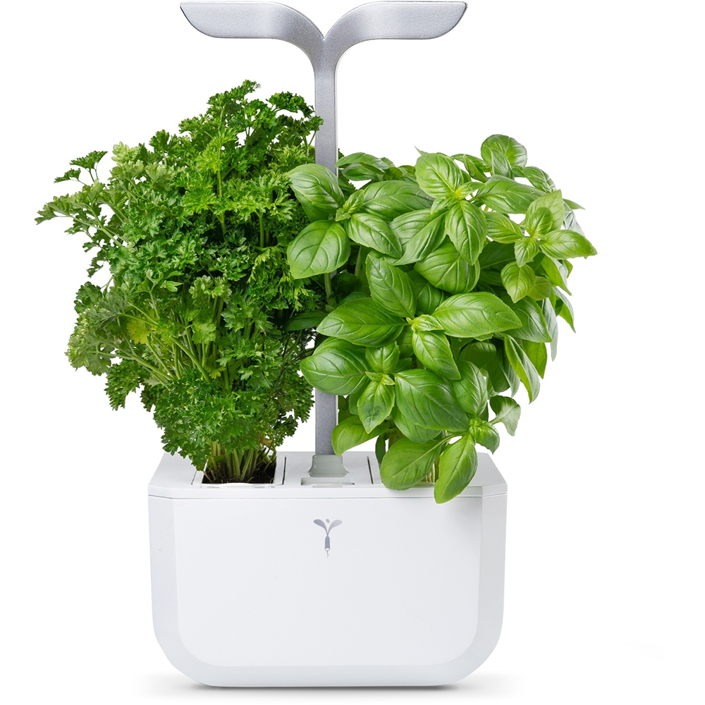 Picture of Véritable Indoor-Garten Exky SMART - arctic white