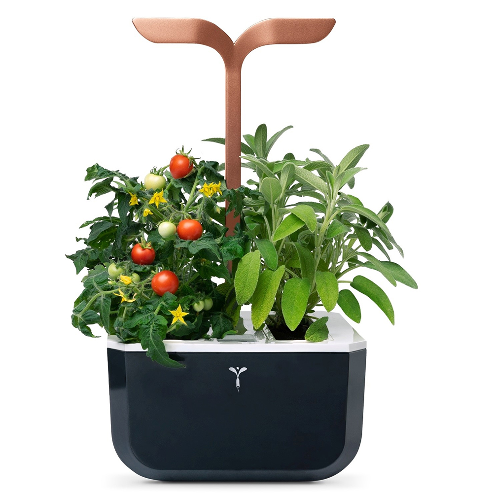 Bild von Véritable Indoor-Garten Exky SMART - copper