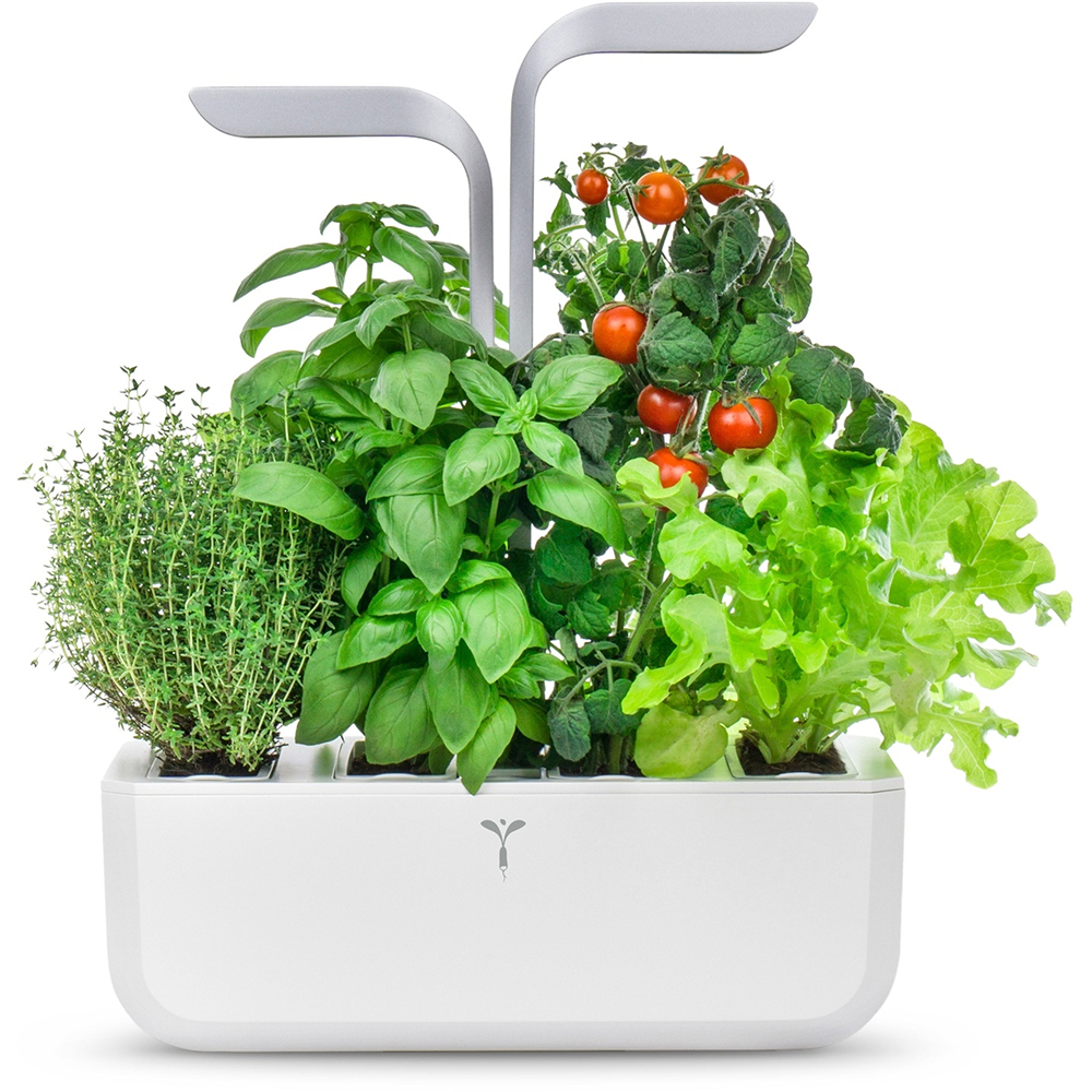 Picture of Véritable Indoor-Garten SMART - arctic white