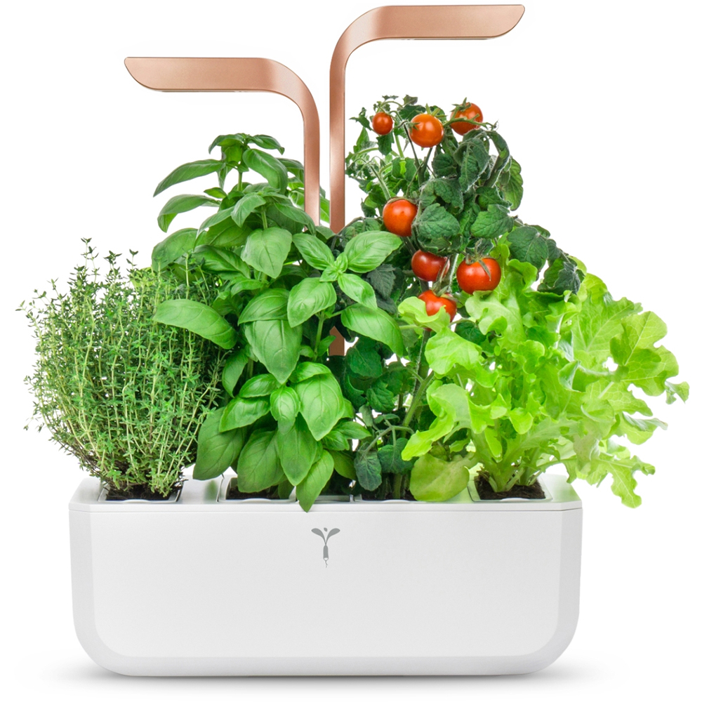 Bild von Véritable Indoor-Garten SMART - white copper