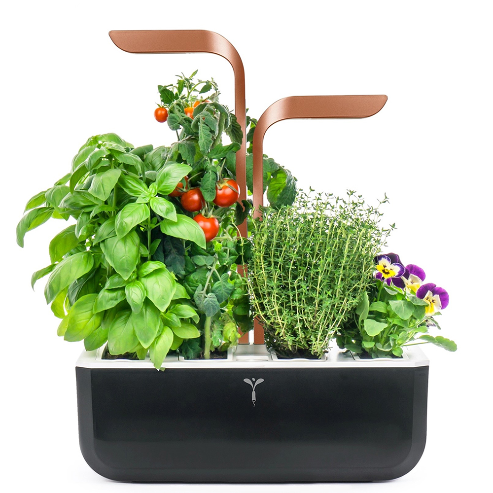 Bild von Véritable Indoor-Garten SMART - copper