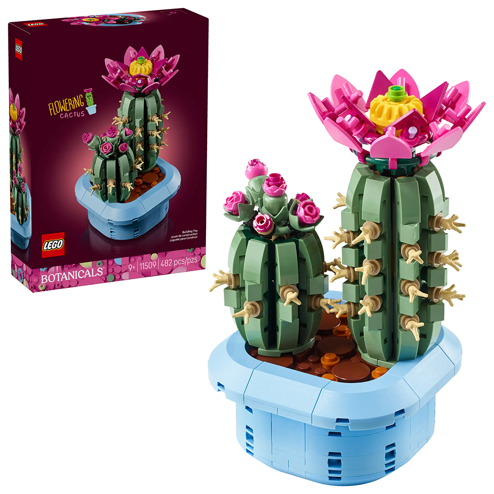 Bild von Lego Botanicals 11509 Blühender Kaktus
